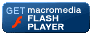 Flash Player