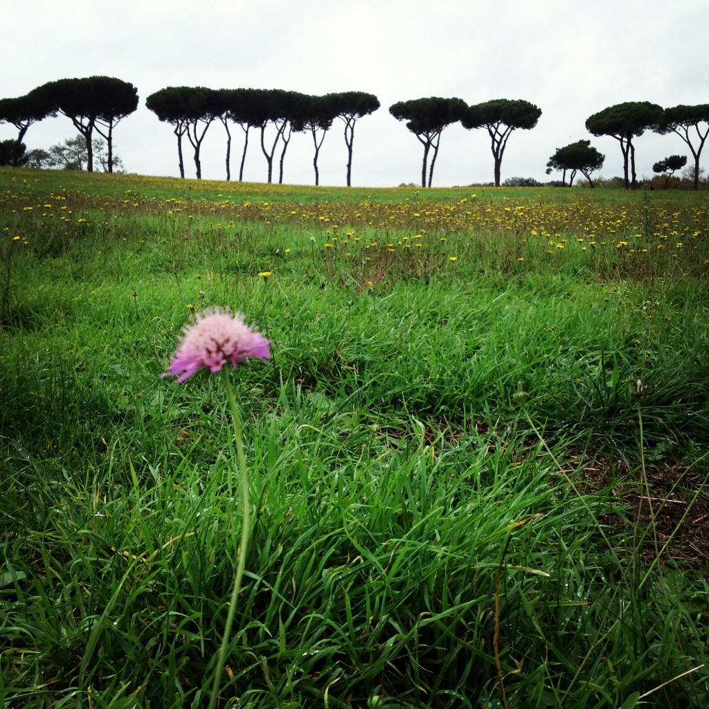 Villa Pamphili